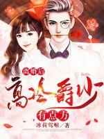 沈知意薄砚霆全文免费阅读无弹窗