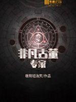 圣者荣耀之城市守卫军