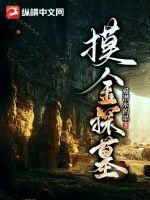 盛兮沈安和全本免费阅读