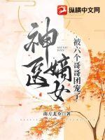 盛兮沈安和首辅娇医有空间免费阅读全文