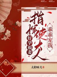 赵康萧玲珑小说全文免费阅读